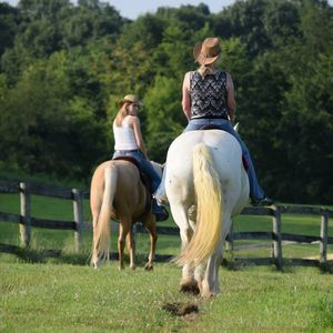 Meet your Posher, Berdina